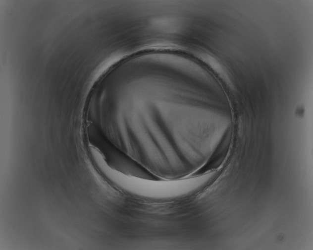 X0000092071229200710101011