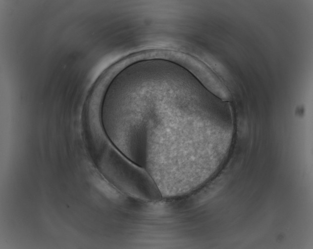 X0000092071230200710101011