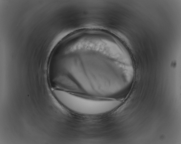 X0000092071231200710101011