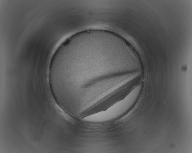 X0000092071232200710101011