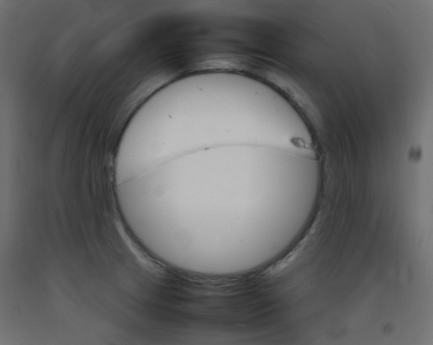 X0000092071233200710101011