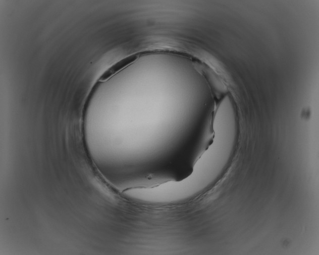 X0000092071234200710101011
