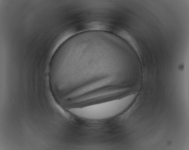 X0000092071235200710101011