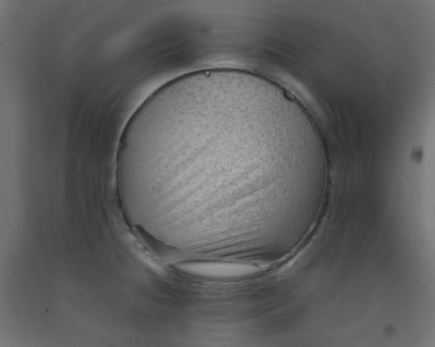 X0000092071236200710101011