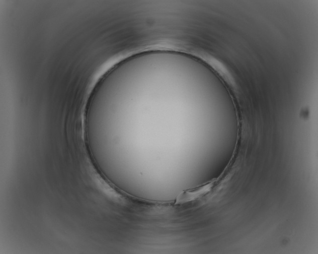 X0000092071238200710101011