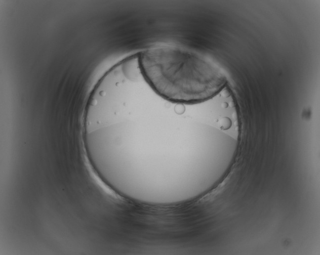 X0000092071239200710101011