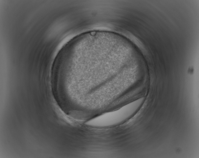 X0000092071240200710101011