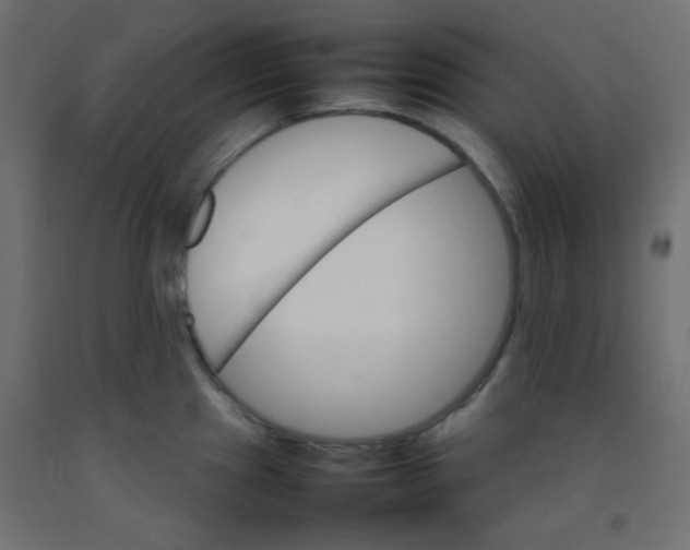 X0000092071241200710101012