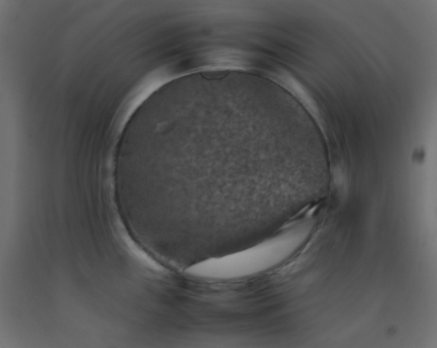 X0000092071243200710101012