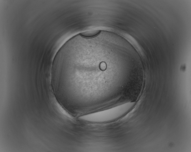 X0000092071244200710101012