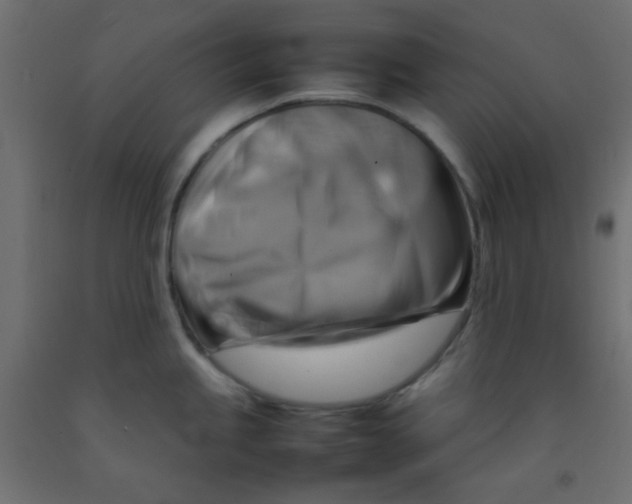 X0000092071245200710101012