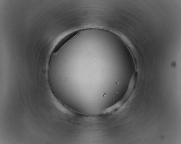 X0000092071246200710101012