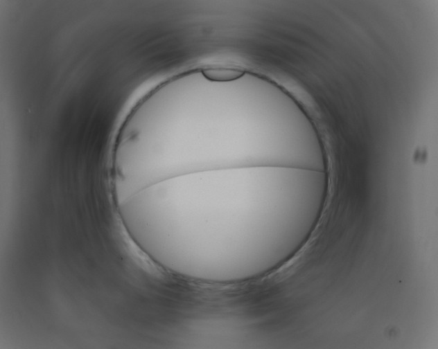 X0000092071248200710101012