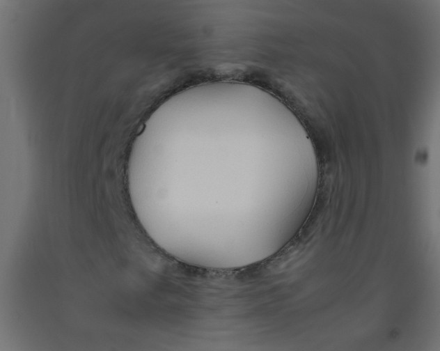 X0000092071249200710101011