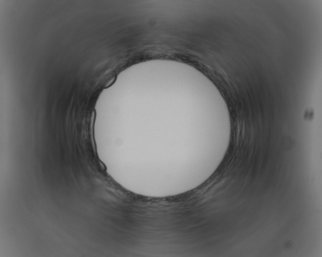 X0000092071250200710101011