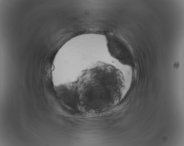 X0000092071251200710101011