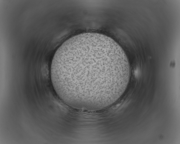X0000092071252200710101011