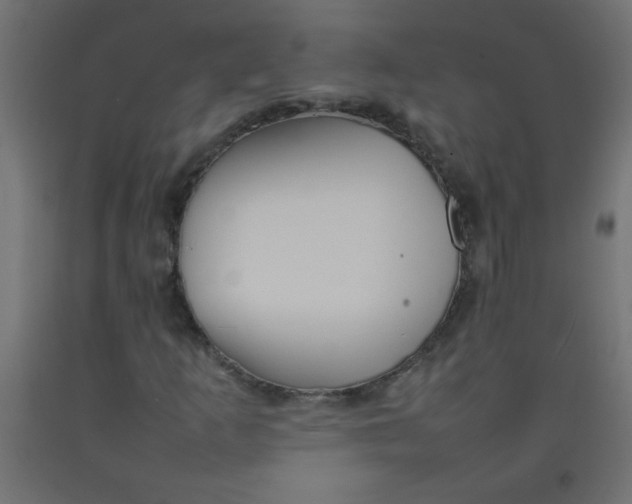 X0000092071253200710101011