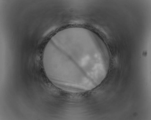X0000092071254200710101011