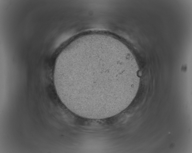 X0000092071255200710101011