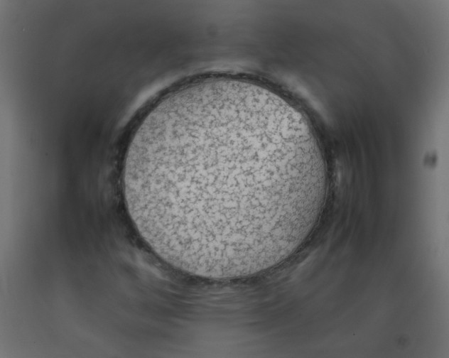 X0000092071256200710101011