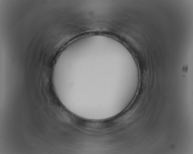 X0000092071257200710101011