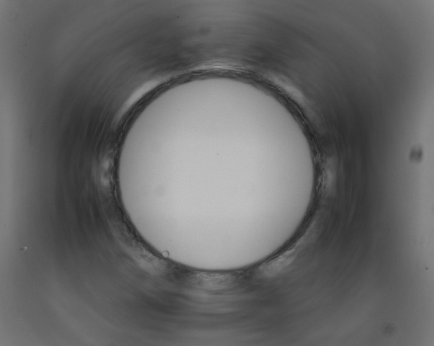 X0000092071258200710101011