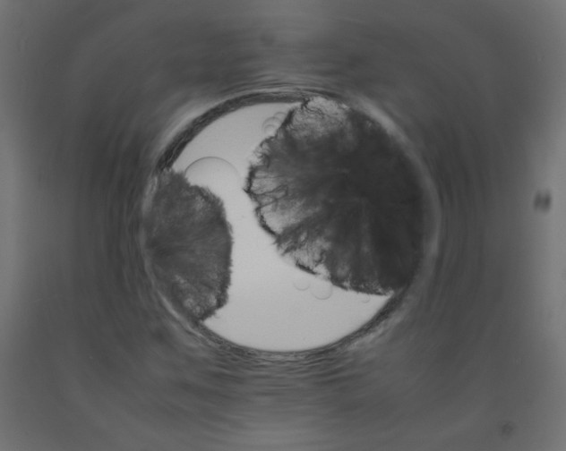 X0000092071259200710101011
