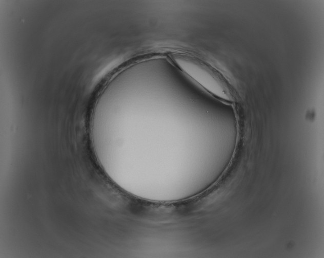 X0000092071261200710101011
