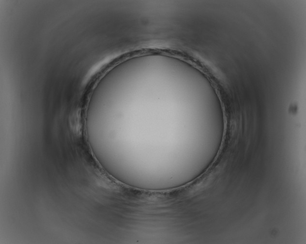 X0000092071262200710101011