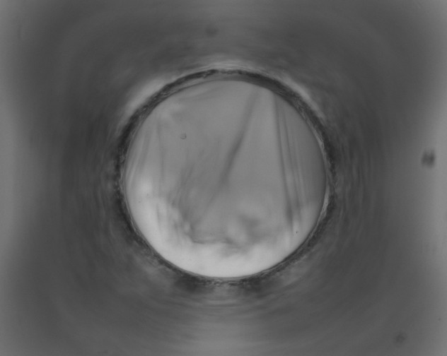 X0000092071263200710101011