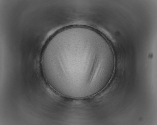 X0000092071264200710101011