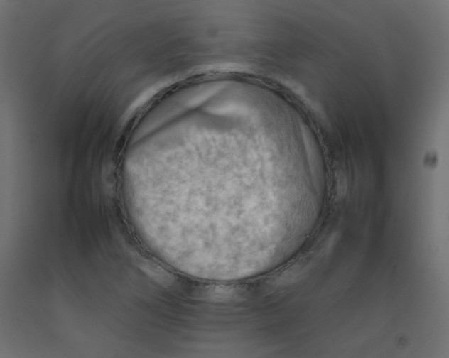 X0000092071266200710101011