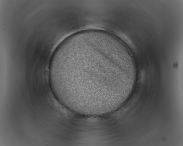 X0000092071268200710101011