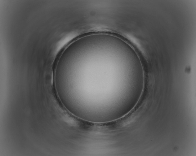 X0000092071269200710101011