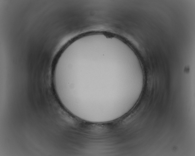 X0000092071270200710101011