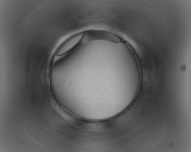 X0000092071272200710101011
