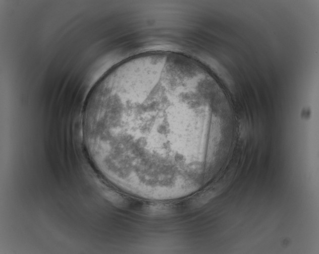 X0000092071274200710101011