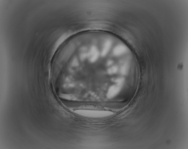 X0000092071275200710101011
