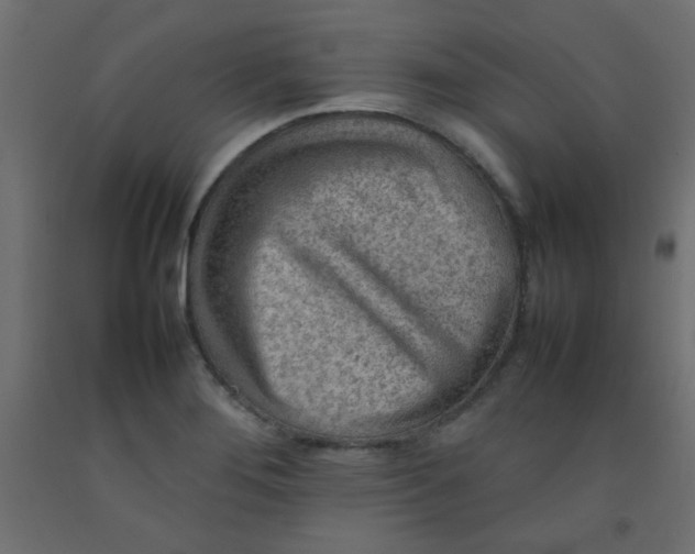 X0000092071276200710101011