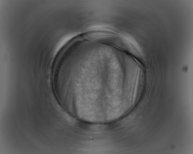 X0000092071277200710101011