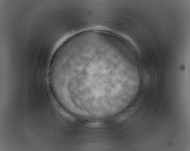X0000092071278200710101011