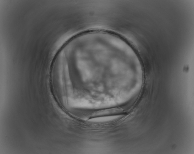 X0000092071279200710101011