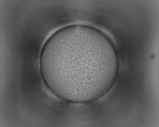 X0000092071280200710101011