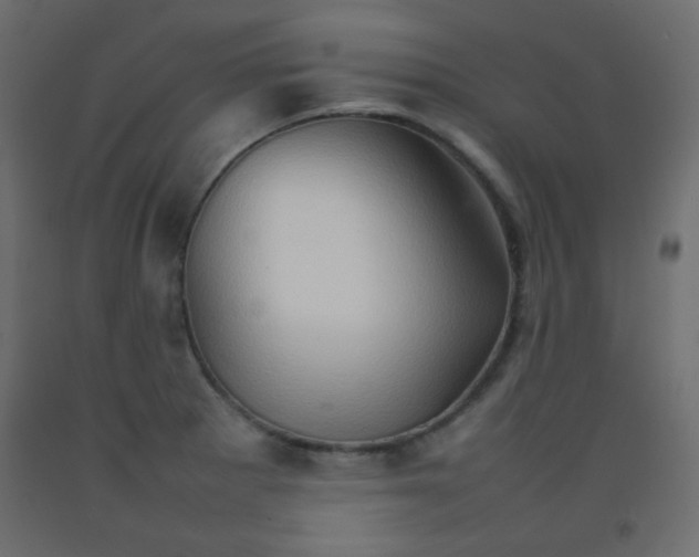 X0000092071281200710101011