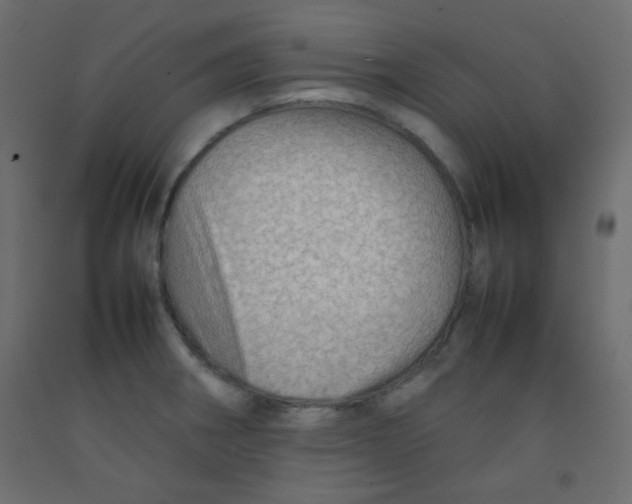 X0000092071282200710101011