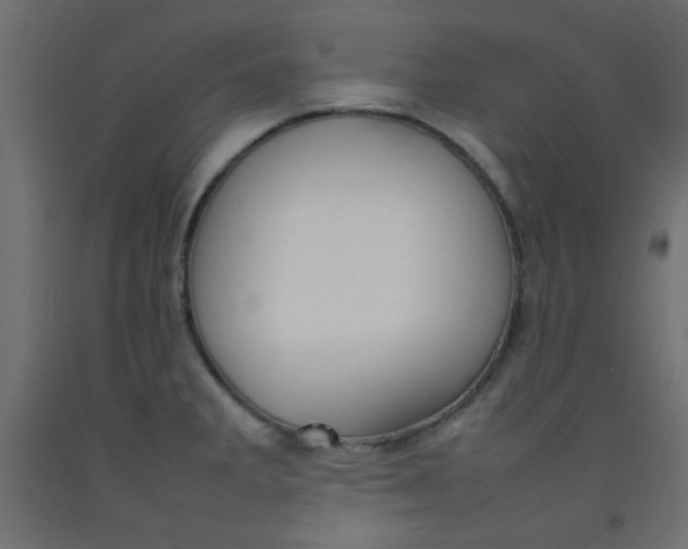 X0000092071285200710101010