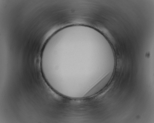 X0000092071286200710101010