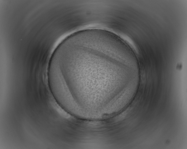 X0000092071288200710101010