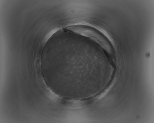 X0000092071289200710101010